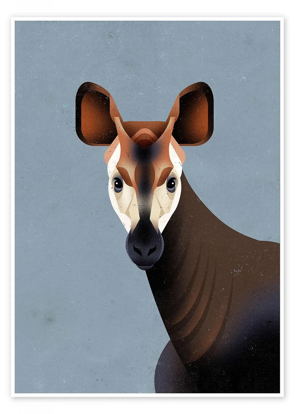 Постер Dieter Braun Okapi 30 x 40 см Синий, фото №1 Постер Dieter Braun Okapi 30 x 40 см Синий, фото №1