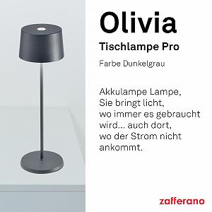 Настільна лампа Zafferano Olivia Pro Портативна Акумуляторна Сенсорне керування Диммер 2200-3000 K 35 см Темно-сіра synthetic.ua - Фото 1