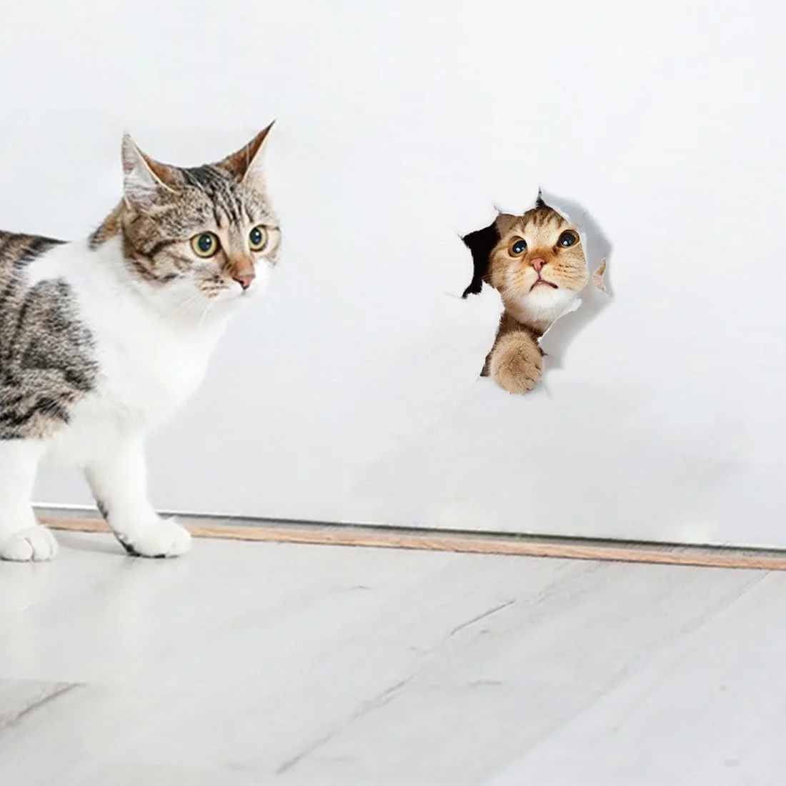 Наклейки на стіну 3D Коти 6 шт. Знімні Багатоколірні, фото №4 Наклейки на стіну 3D Коти 6 шт. Знімні Багатоколірні, фото №4