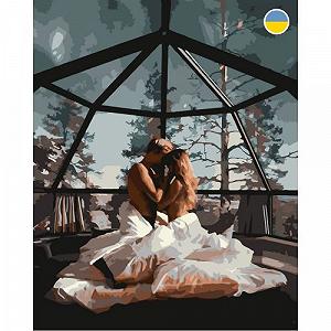Картина по номерам Пара под ночным небом 40х50 см [tsi244484-TSI] - Фото 1