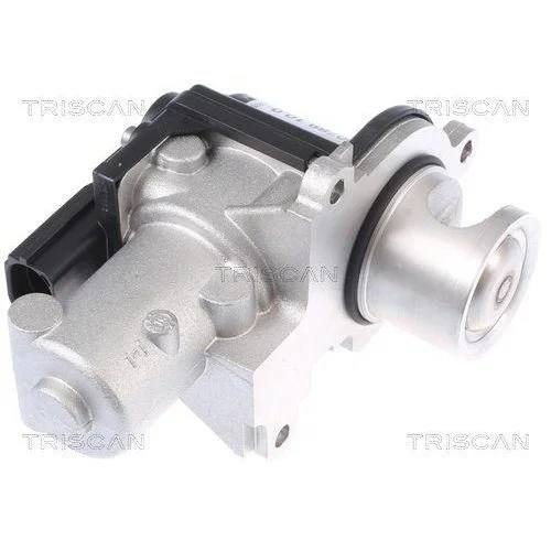 Клапан EGR TRISCAN 8813 29338 для AUDI PORSCHE VW, двосторонній, фото №2