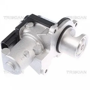 Клапан EGR TRISCAN 8813 29338 для AUDI PORSCHE VW, двосторонній synthetic.ua - Фото 1