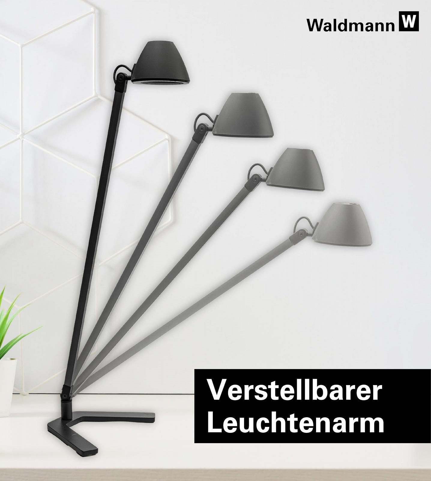 Настільна лампа Waldmann Lucio Home LED 4000 K (Limited Edition), фото №4