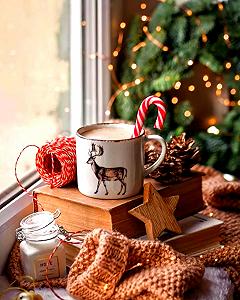 TN1164 Набір алмазної мозаїки на підрамнику В очікуванні свята - Фото 1