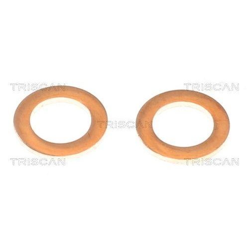 Гальмівний супорт TRISCAN 8175 13207 для DAIHATSU TOYOTA, задній міст зліва, фото №3