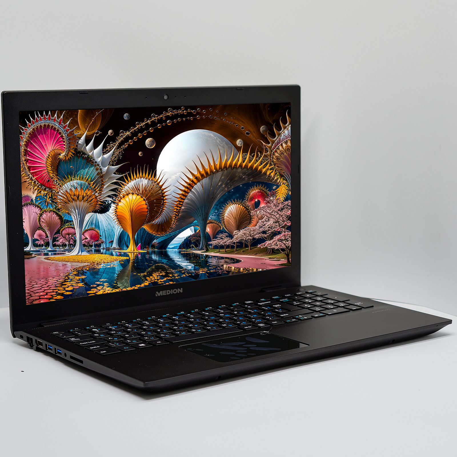 Ноутбук 15.6'' Medion (Lenovo Group) Akoya P6687 Intel Core i5-8250U RAM 8 ГБ SSD 256 ГБ + HDD 1 ТБ Nvidia GeForce Win10 (4888), фото №3 Ноутбук 15.6'' Medion (Lenovo Group) Akoya P6687 Intel Core i5-8250U RAM 8 ГБ SSD 256 ГБ + HDD 1 ТБ Nvidia GeForce Win10 (4888), фото №3