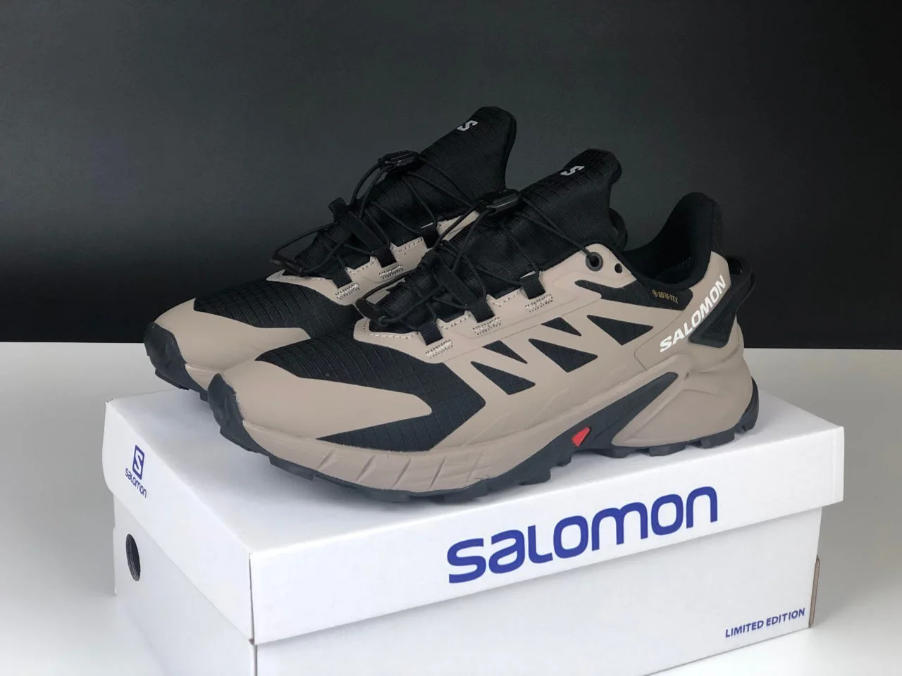 Чоловічі термо кросівки Salomon Supercross 4 Gore-tex бежеві, фото №1 Чоловічі термо кросівки Salomon Supercross 4 Gore-tex бежеві, фото №1