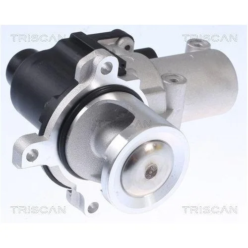 Клапан EGR TRISCAN 8813 29015 AUDI VW, фото №4