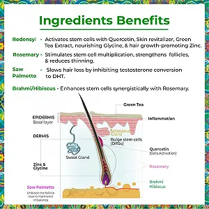 Сыворотка для роста волос Passion Indulge Advanced | Redensyl + Rosemary, Saw Palmetto & Brahmi Extract | Для мужчин и женщин - 50 мл synthetic.ua - Фото 1