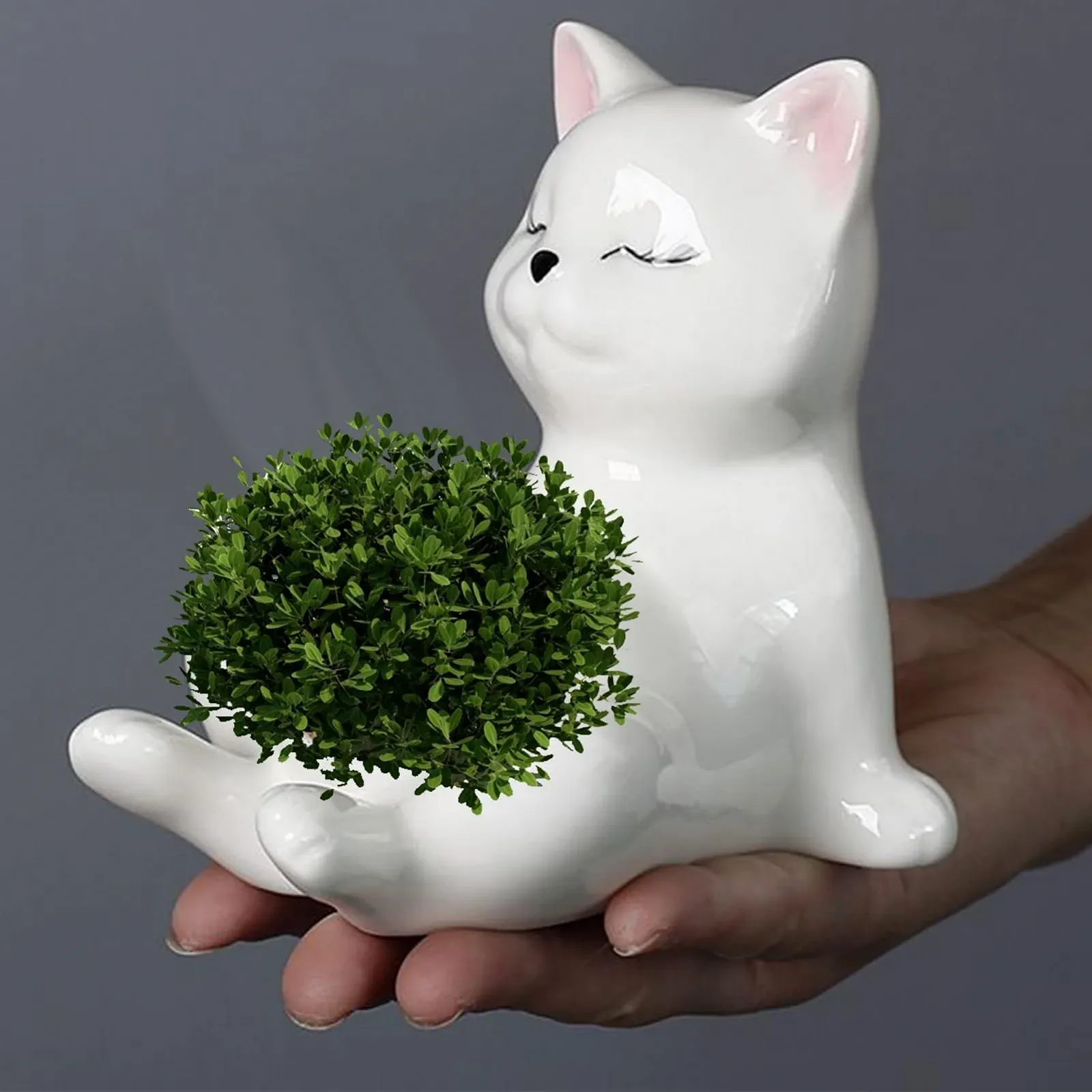 Горщик для рослин керамічний у формі кота декоративний, фото №7 Горщик для рослин керамічний у формі кота декоративний, фото №7