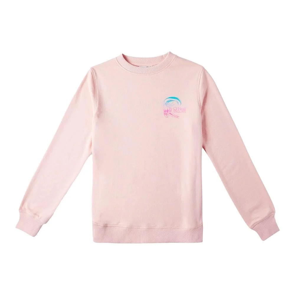 Толстовка O'Neill Circle Surfer Рожева 16, фото №1