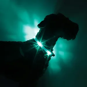 Ошейник светодиодный LEUCHTIE Plus NL водонепроницаемый Бирюзовый Размер 35 synthetic.ua - Фото 1