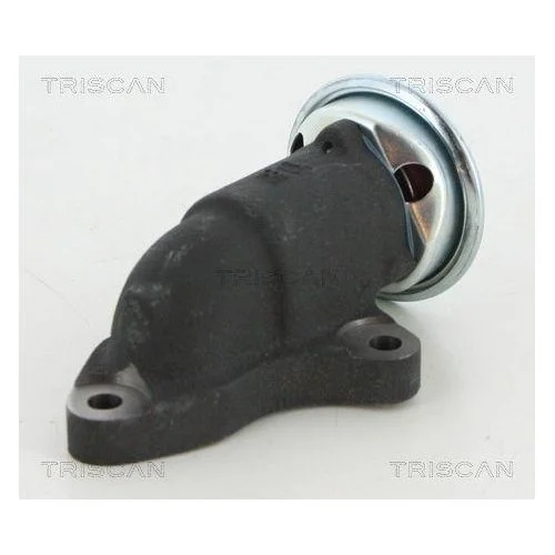 Клапан EGR TRISCAN 8813 13064 для TOYOTA, фото №2
