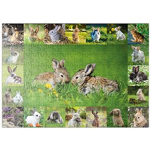Купить Пазл Starnberger Spiele MyPuzzle Special Collection Collage No. 5 Bunnies & Rabbits 200 элементов - Фото 1 Пазл Starnberger Spiele MyPuzzle Special Collection Collage No. 5 Bunnies & Rabbits 200 элементов - Фото 1
