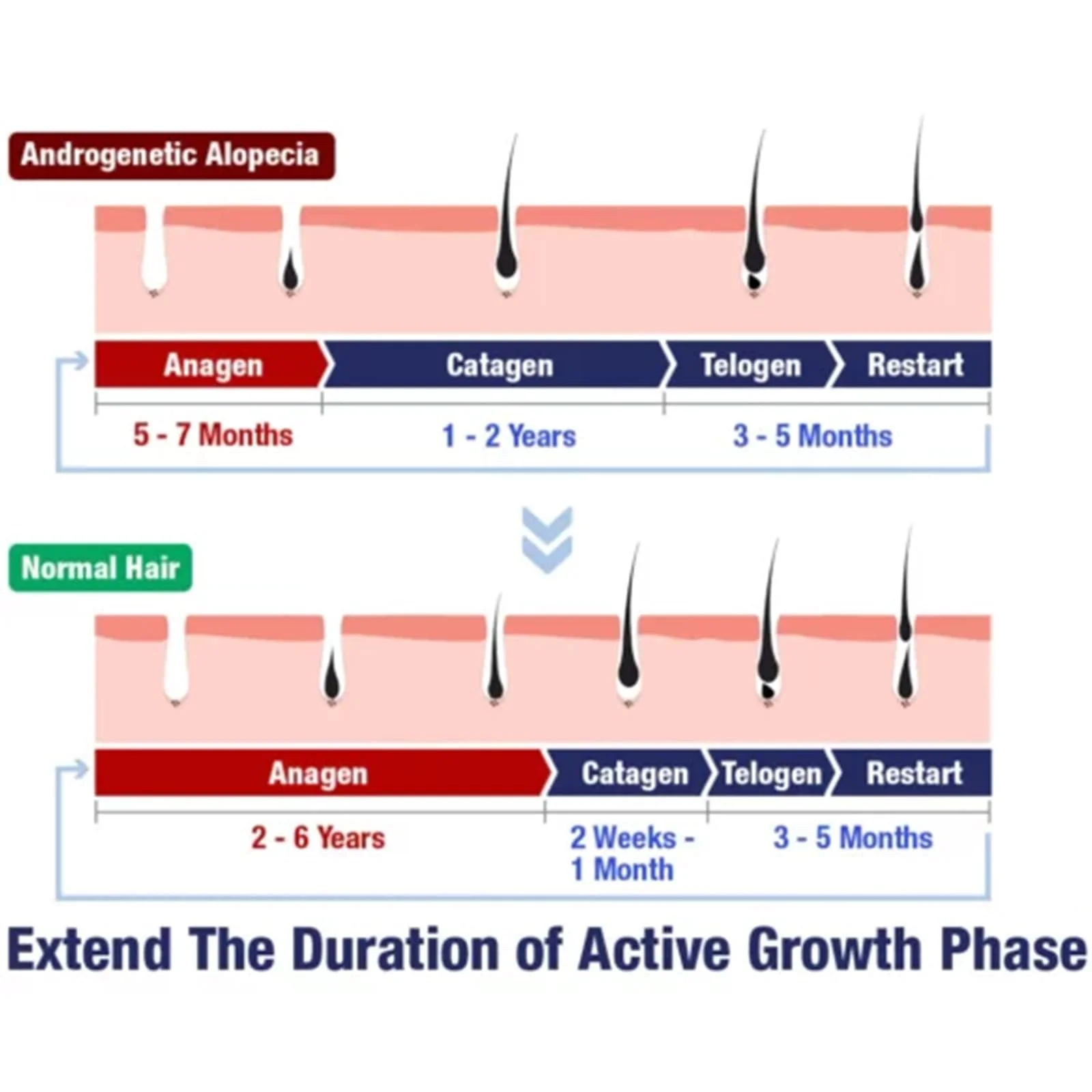 Олія Догляд за волоссям, Ролик для росту волосся, Сироватка проти випадіння волосся, фото №4