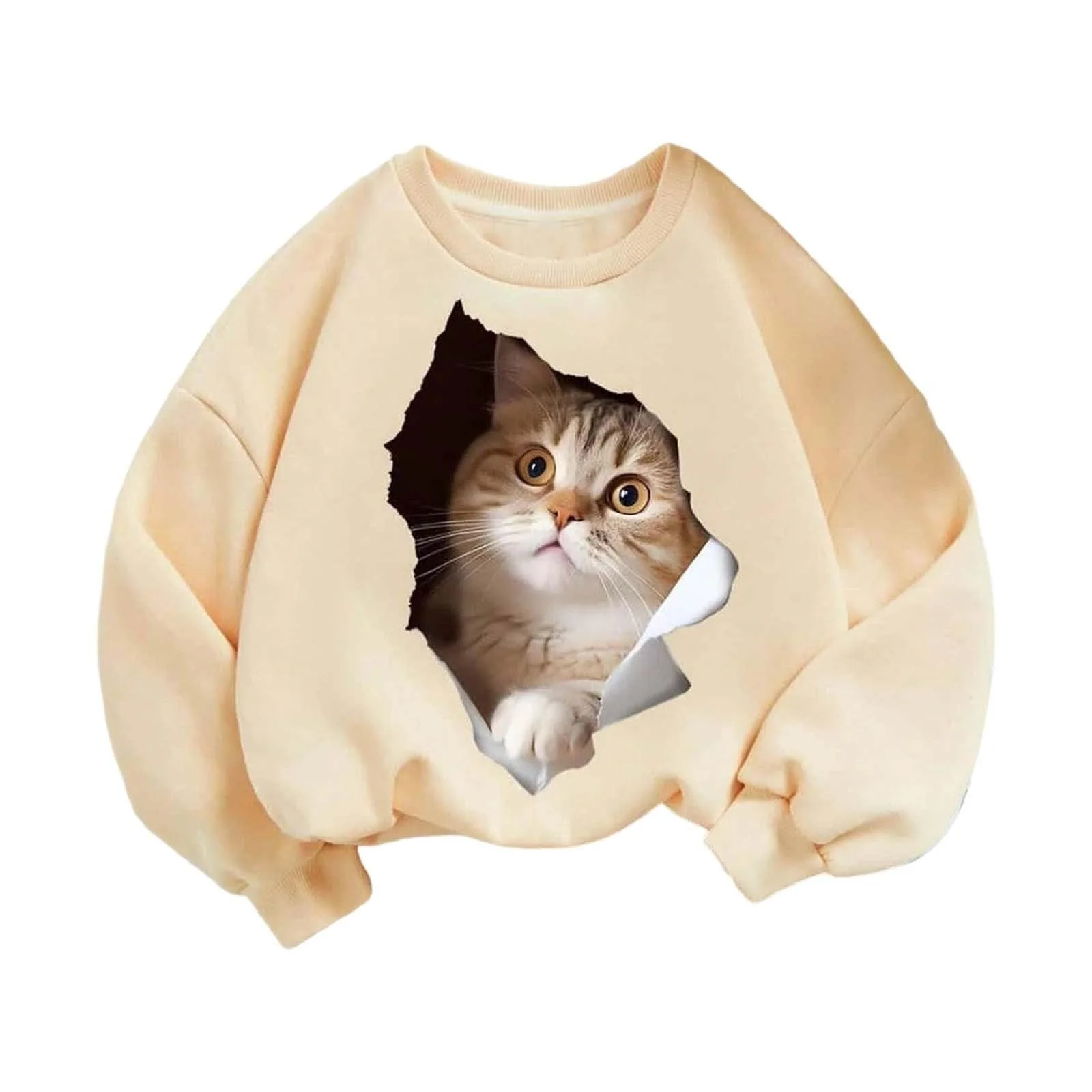 Худі Повсякденний Пуловер для Дівчинки, фото №1