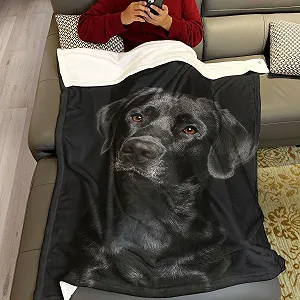 Одеяло Zomer Мягкое Пушистое 150 x 200 см Микрофибра Плед Покрывало Мягкое Теплое Диванное одеяло с мотивом Лабрадора Черное synthetic.ua - Фото 1