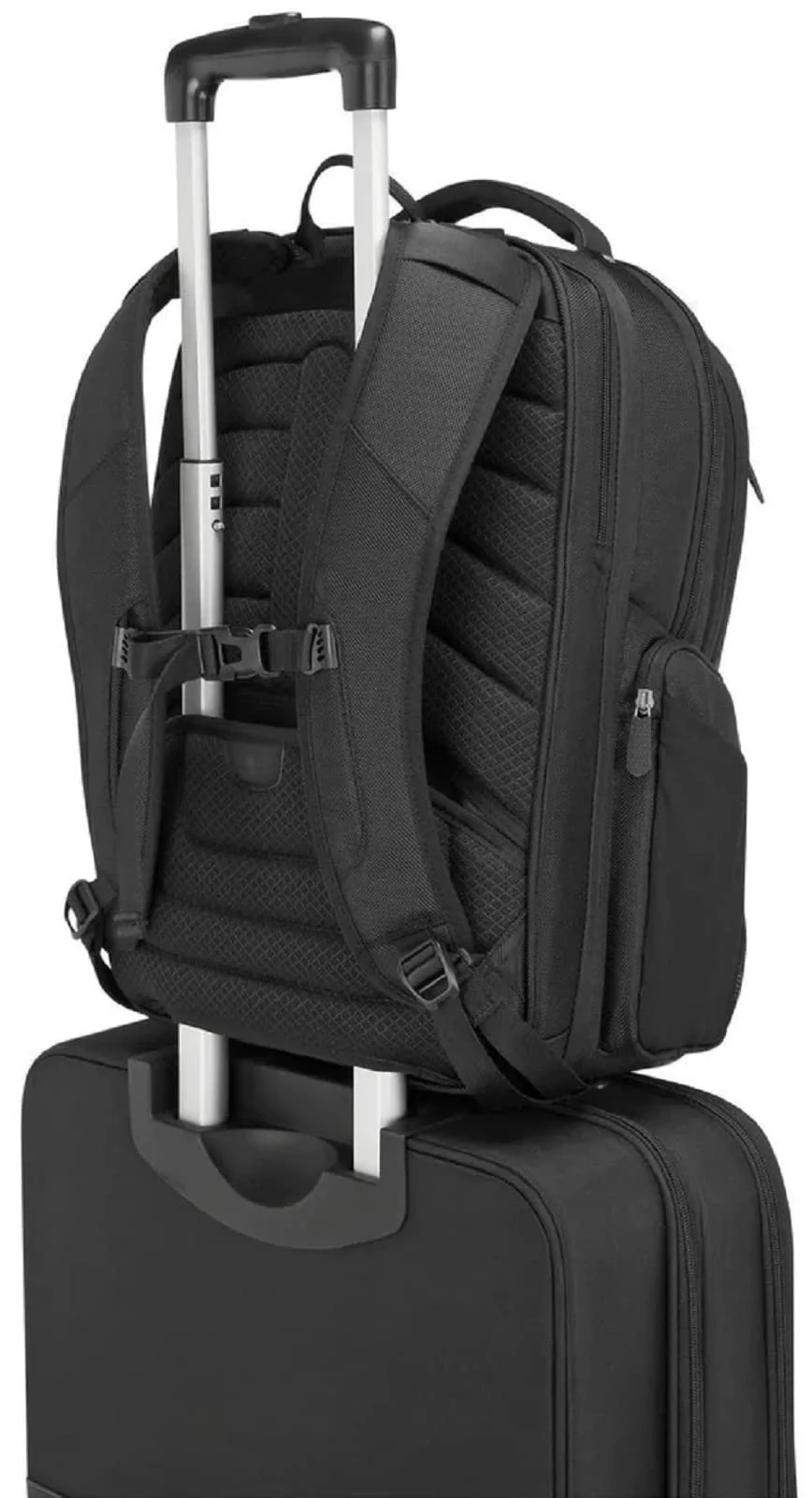 Рюкзак для ноутбука Targus Corporate Traveller CUCT02BEU 15.6" Black, фото №11 Рюкзак для ноутбука Targus Corporate Traveller CUCT02BEU 15.6" Black, фото №11