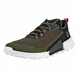 Кроссовки ECCO Biom 2.1 Low Textile - Фото 1