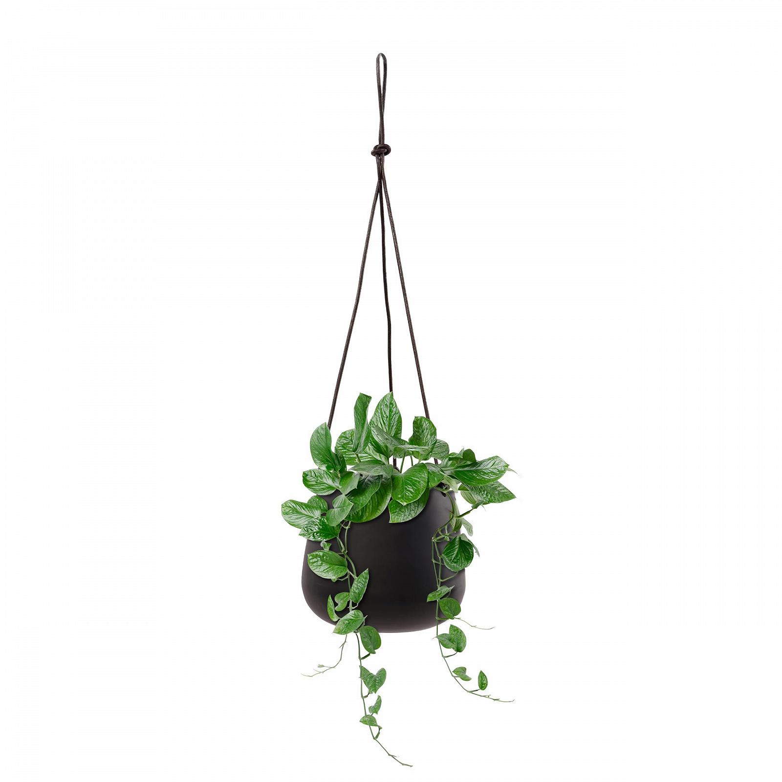 Набір підвісних кашпо Olly & Rose 14 см металеві Матовий чорний 2 шт., фото №6 Набір підвісних кашпо Olly & Rose 14 см металеві Матовий чорний 2 шт., фото №6