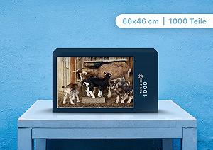 Пазл Hansepuzzle 21180 Young Goats Козлята 1000 элементов 60 x 46 см synthetic.ua - Фото 1