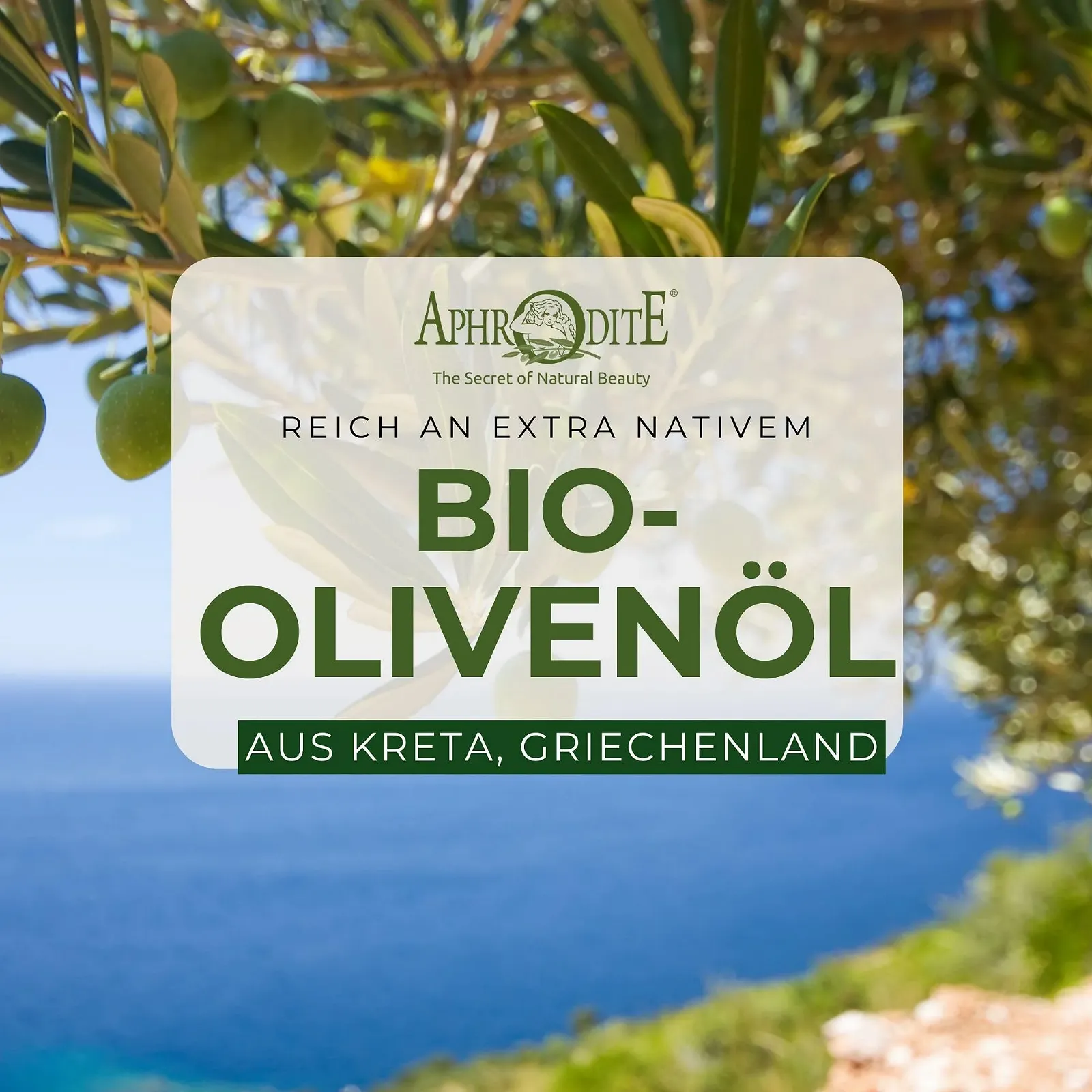 Лосьон для тела Aphrodite Набор по уходу за телом Интенсивное увлажнение, гладкая кожа - 1x лосьон для тела с алоэ вера, 1x лосьон для тела с манго и папайей - Укрепляющий крем для тела, фото №3