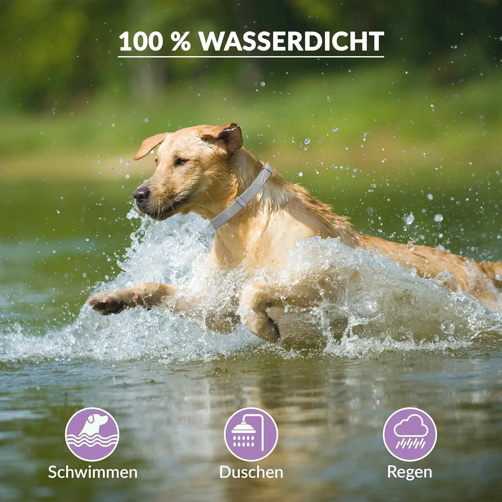 Нашийник від кліщів Animal Vita лавандовий 100% натуральний водонепроникний регульований до 8 місяців захисту, фото №3