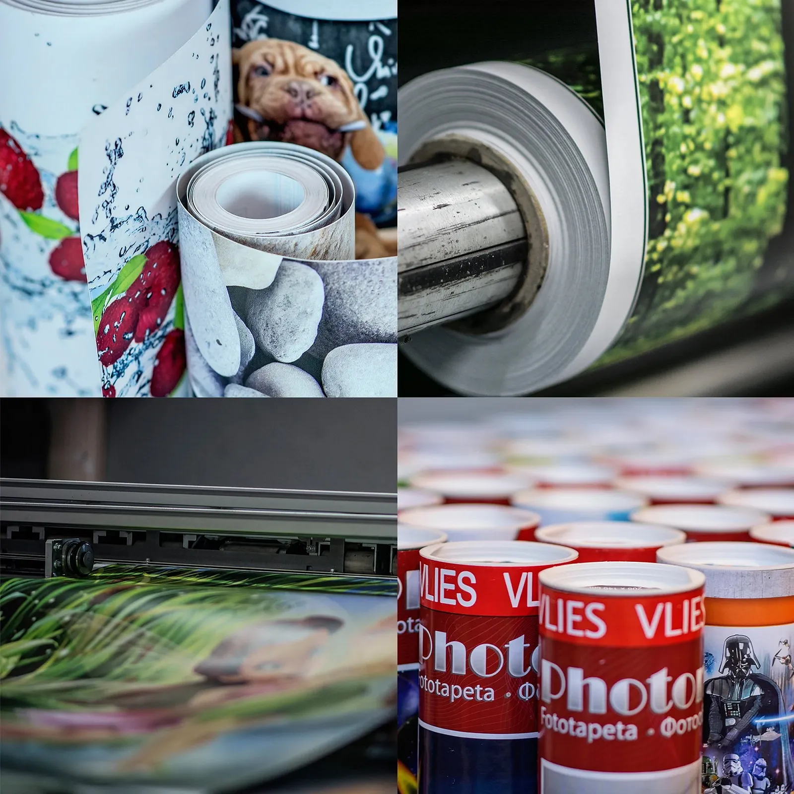 Фотошпалери Medusa AF3043VEXXXL флізелінові 416 см x 254 см, фото №5