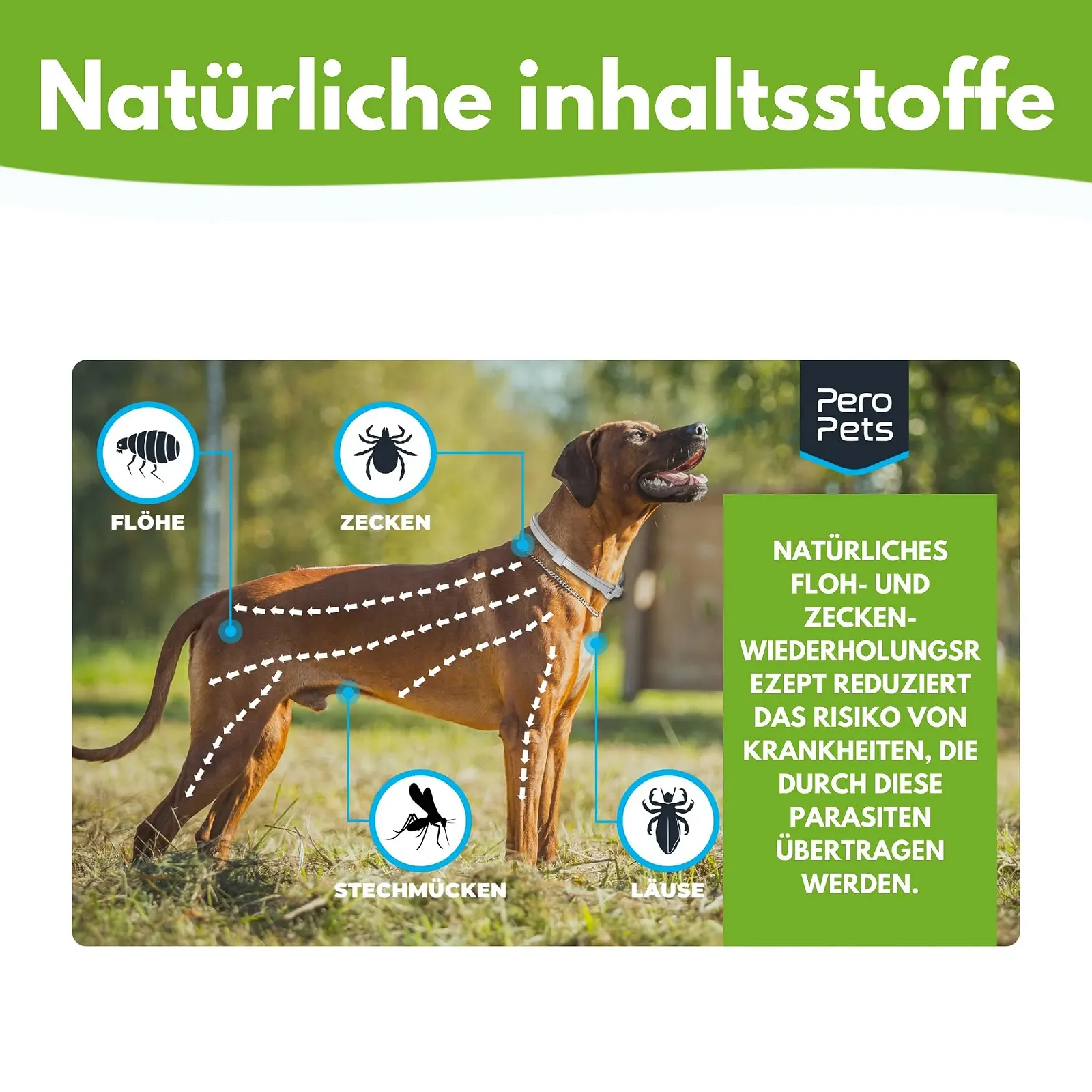 Нашийник від кліщів та бліх Pero Pets Premium 100% натуральний водонепроникний, фото №4