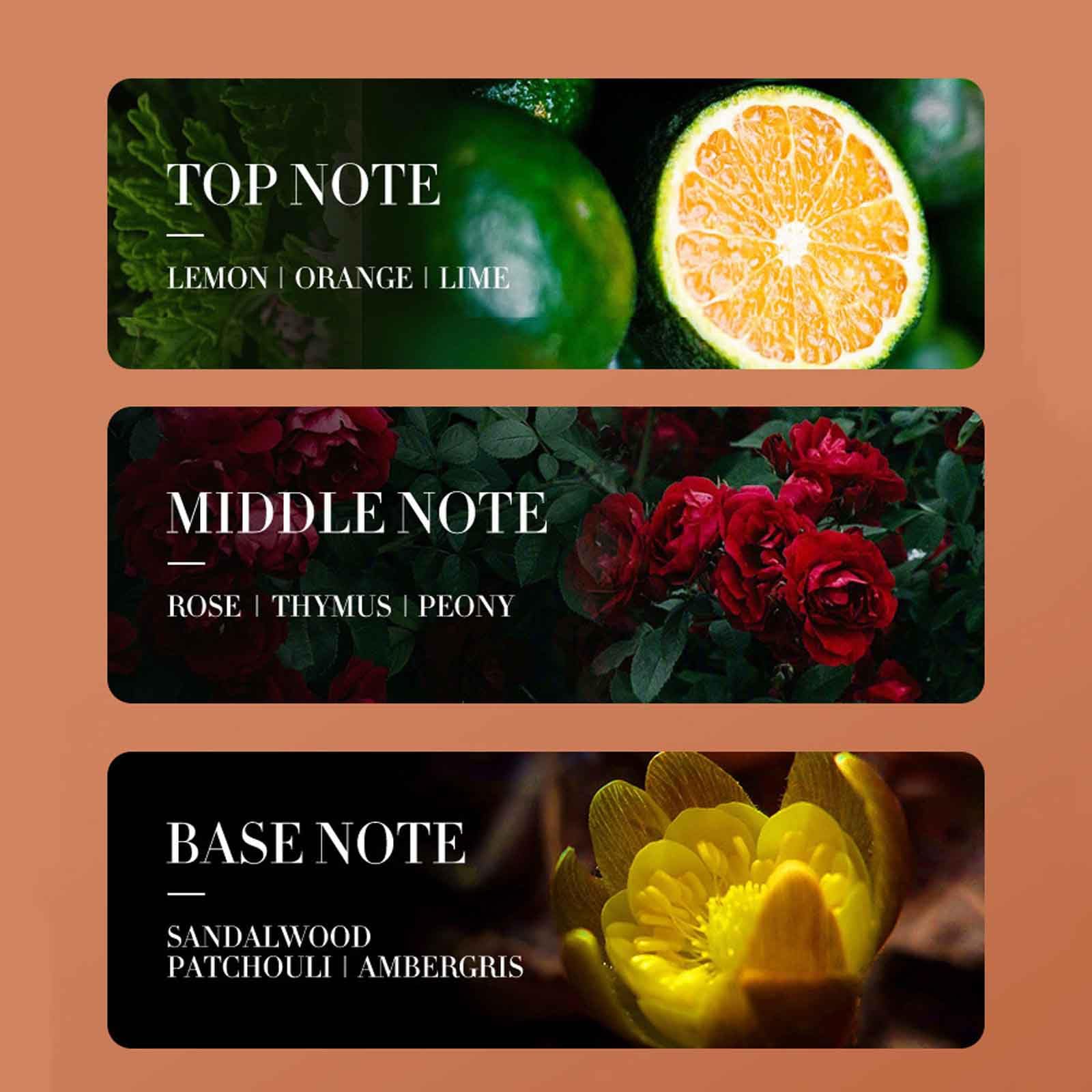 Кондиционер Moroccan Argan Oil для волос Увеличение блеска, увлажнение, сияние Без парабенов и сульфатов, фото №4 Кондиционер Moroccan Argan Oil для волос Увеличение блеска, увлажнение, сияние Без парабенов и сульфатов, фото №4