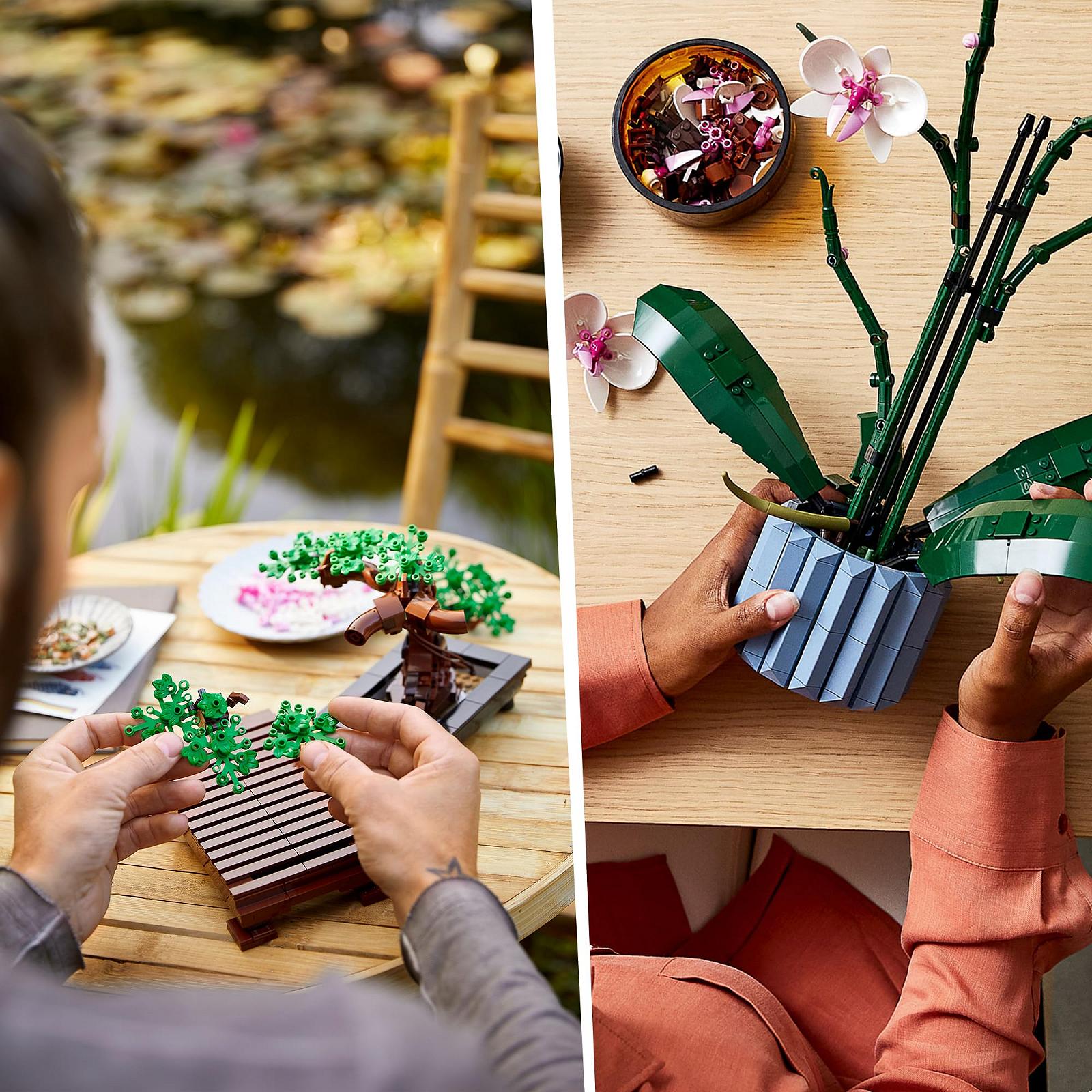 Набір LEGO Icons Botanical Collection 10281 Bonsai Tree та 10311 Orchid, фото №5 Набір LEGO Icons Botanical Collection 10281 Bonsai Tree та 10311 Orchid, фото №5