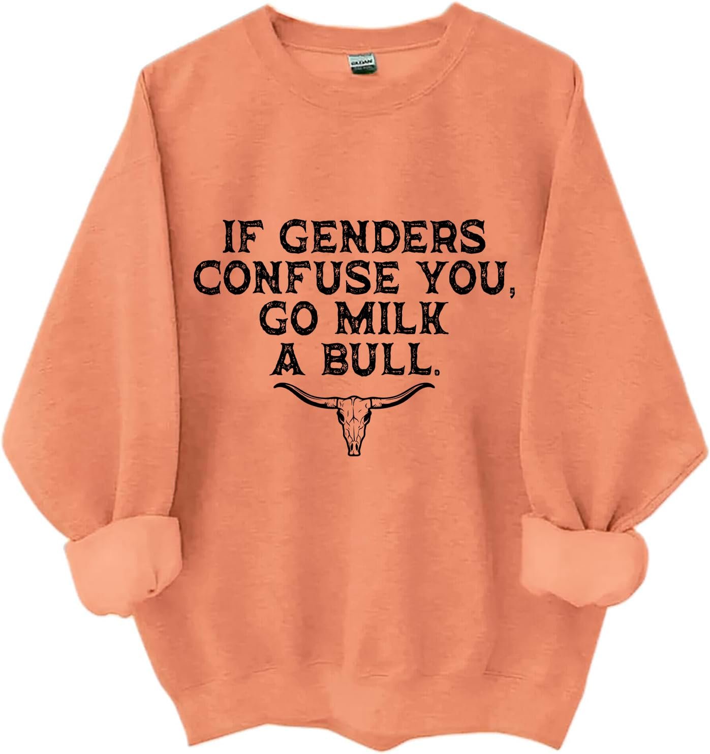 Винтажный свитшот с круглым вырезом и надписью "If Genders Confuse You Go Milk A Bull", фото №1