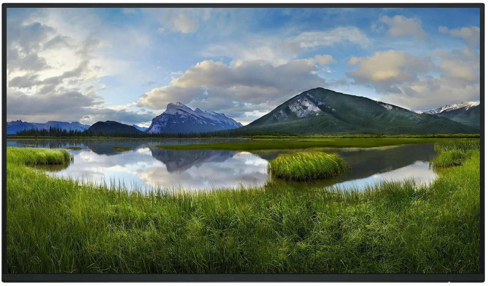 Монітор 27" Dell P2725H WOST Full HD IPS 100 Гц, фото №1