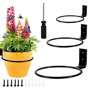 Настінні тримачі для квіткових горщиків 3 шт. 10 см / 14 см / 19 см Чорні круглі - Фото 1