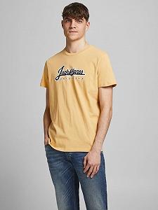 Футболка JORREGGIE TEE SS CREW NECK 12189836 Sahara Sun-JJ PRINT Jack&Jones Жовтий 2XL - Фото 1