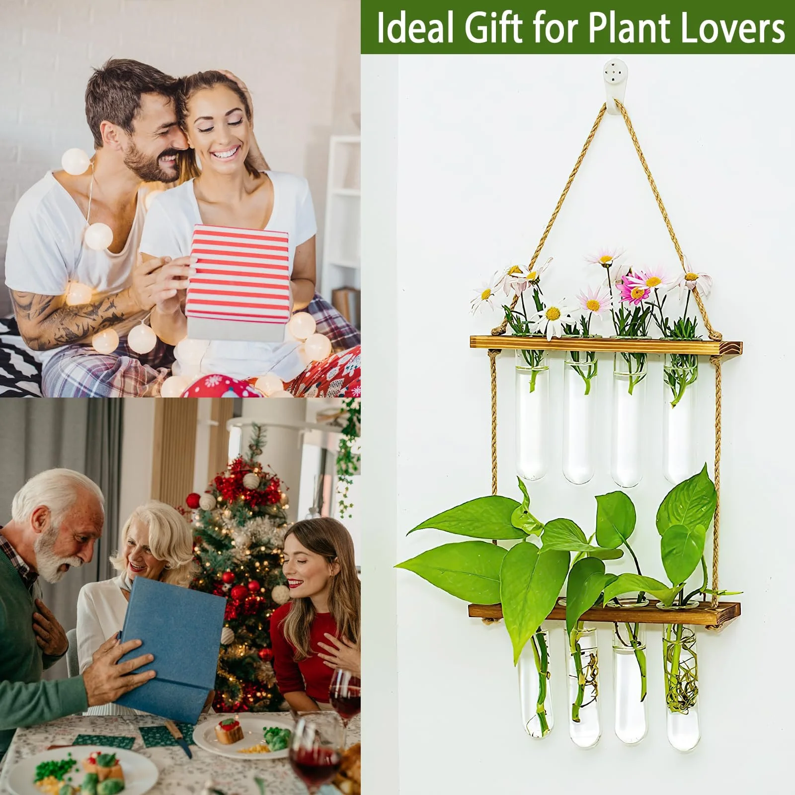 Настінна ваза для розмноження рослин, 2-ярусні, фото №5