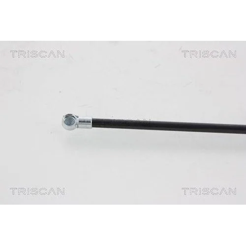 Газовая пружина багажника TRISCAN 8710 25221 для RENAULT сзади слева, фото №3