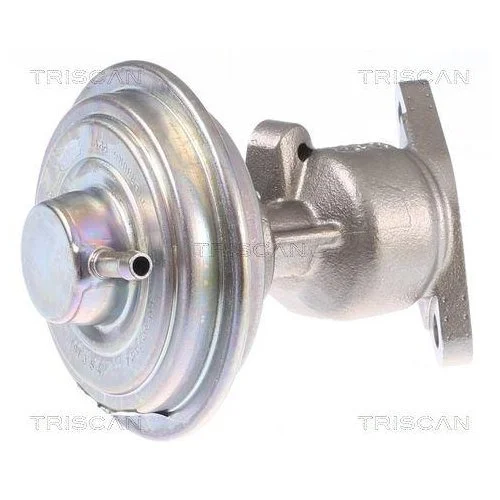 Клапан EGR TRISCAN 8813 29340 для AUDI VW, фото №2