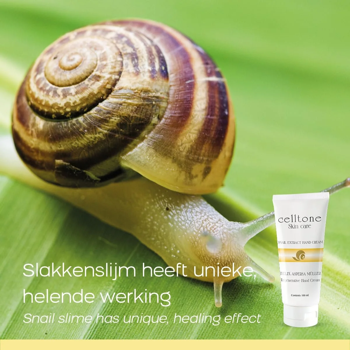 Крем для рук Celltone 100 мл Увлажняющий крем со слизью улитки, аллантоином и гликолевой кислотой Для сухой кожи рук Питает, регенерирует, питает и делает кожу гладкой, фото №4