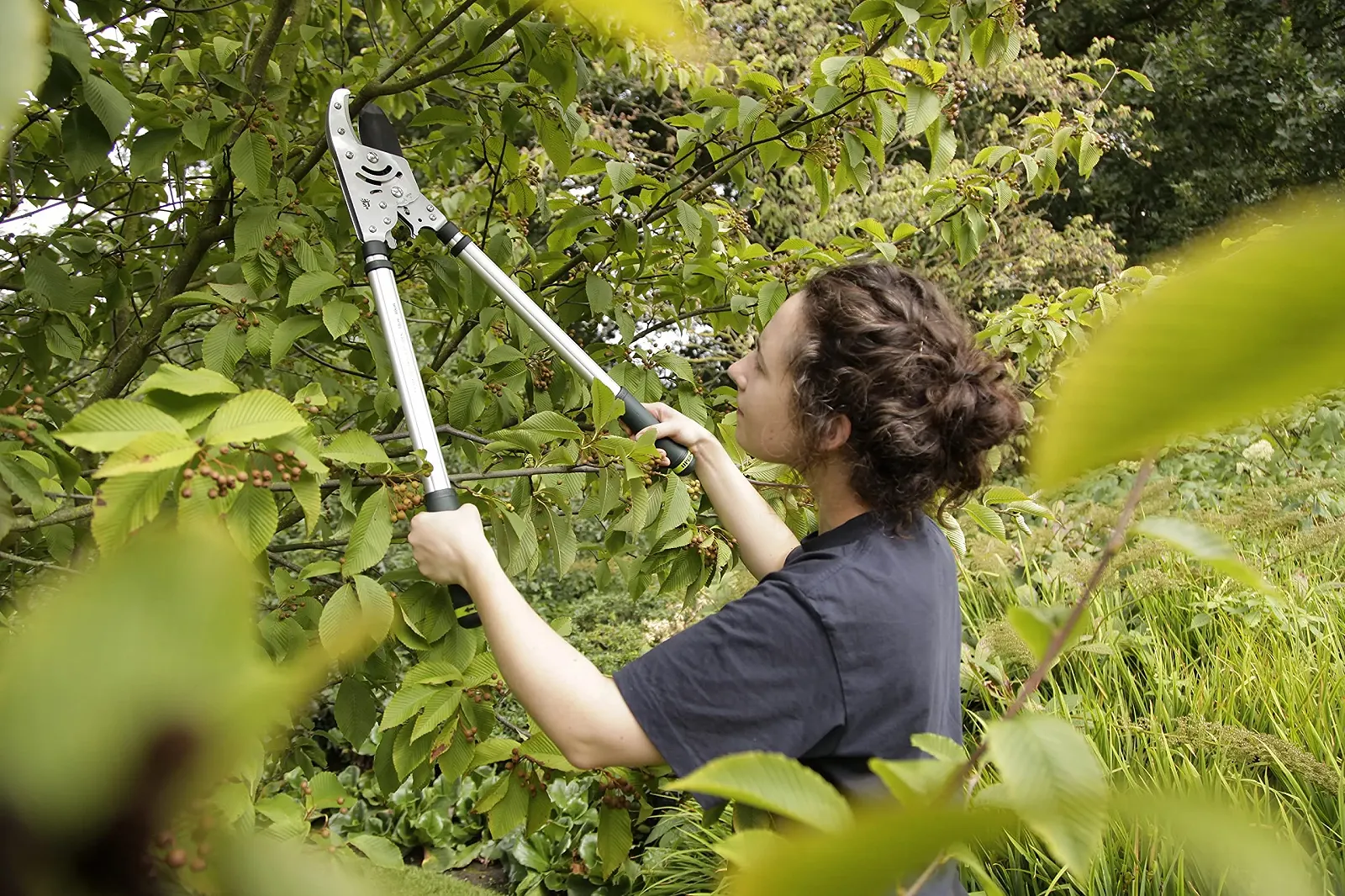 Секатор з ковадлом Spear & Jackson Kew Telescopic Heavy Duty з храповим механізмом, фото №2