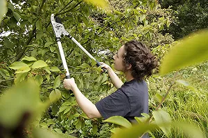 Секатор з ковадлом Spear & Jackson Kew Telescopic Heavy Duty з храповим механізмом synthetic.ua - Фото 1