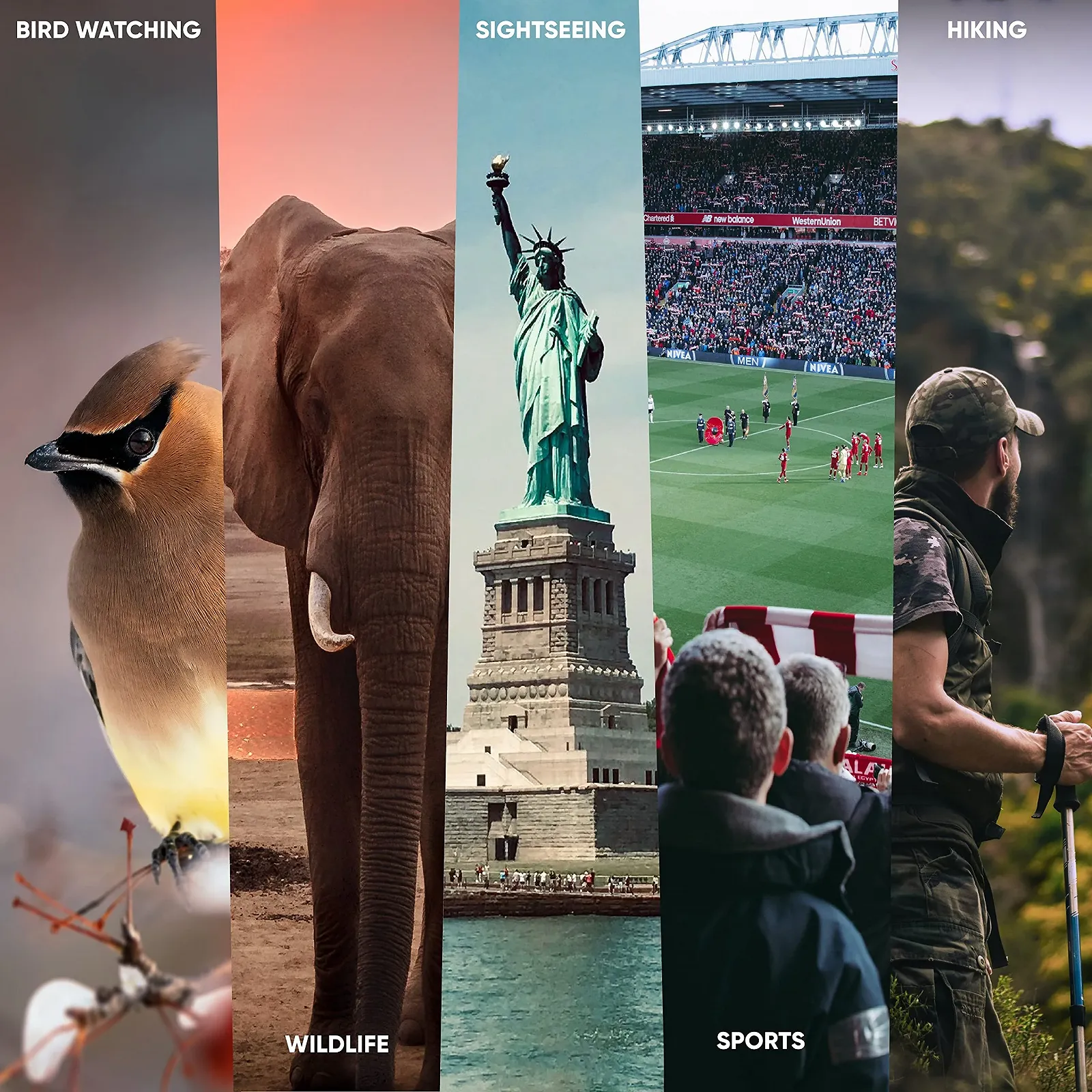 Бінокль Praktica Falcon Field 7x35mm Porro Prism Чорний, фото №4