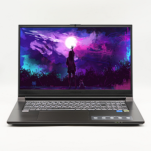Ігровий ноутбук 17,3" Medion (Lenvo Group) Erazer Scout E10 Intel Core i5-12500H RAM 16 ГБ SSD 512 ГБ Nvidia GeForce RTX 3050 Win10 (4518) - Фото 1