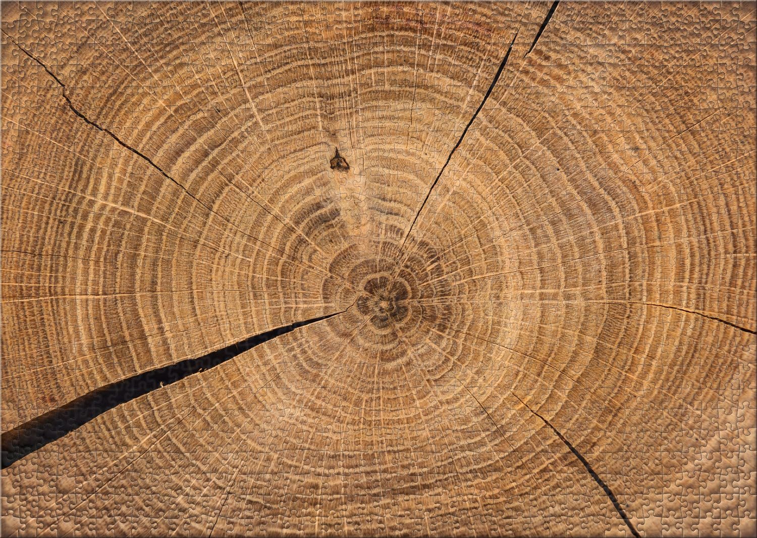 Пазл Ulmer Puzzleschmiede Wooden Chronicle Годовые кольца на дереве 1000 деталей, фото №2 Пазл Ulmer Puzzleschmiede Wooden Chronicle Годовые кольца на дереве 1000 деталей, фото №2
