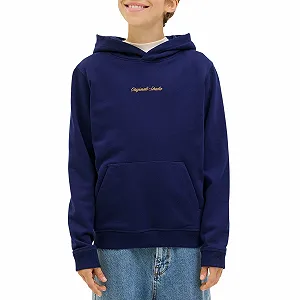 Толстовка JACK & JONES Jornorrebro Emb Sweat Hood Noos Jnr synthetic.ua - Фото 1