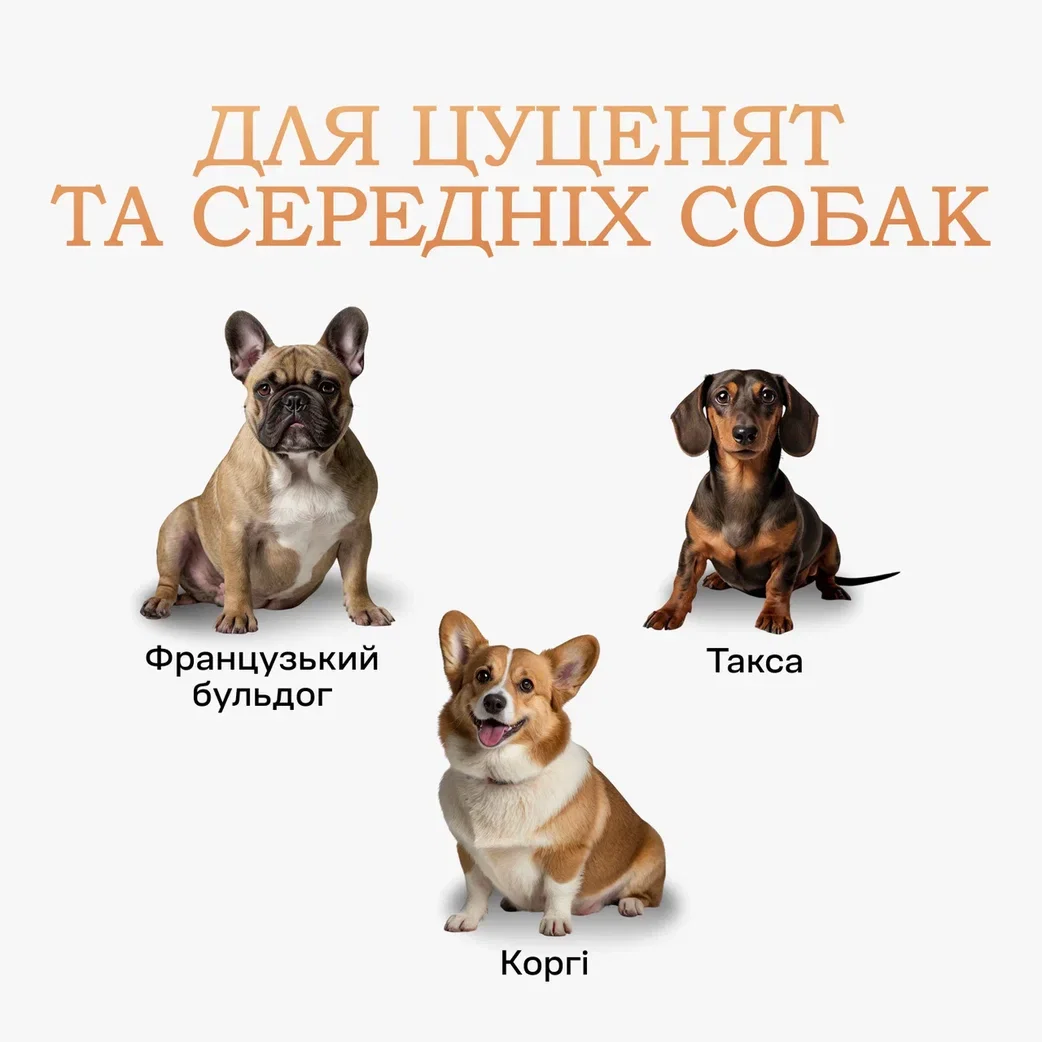 Туалет лоток для собак під пелюшку 60х90 Сірий, фото №2 Туалет лоток для собак під пелюшку 60х90 Сірий, фото №2