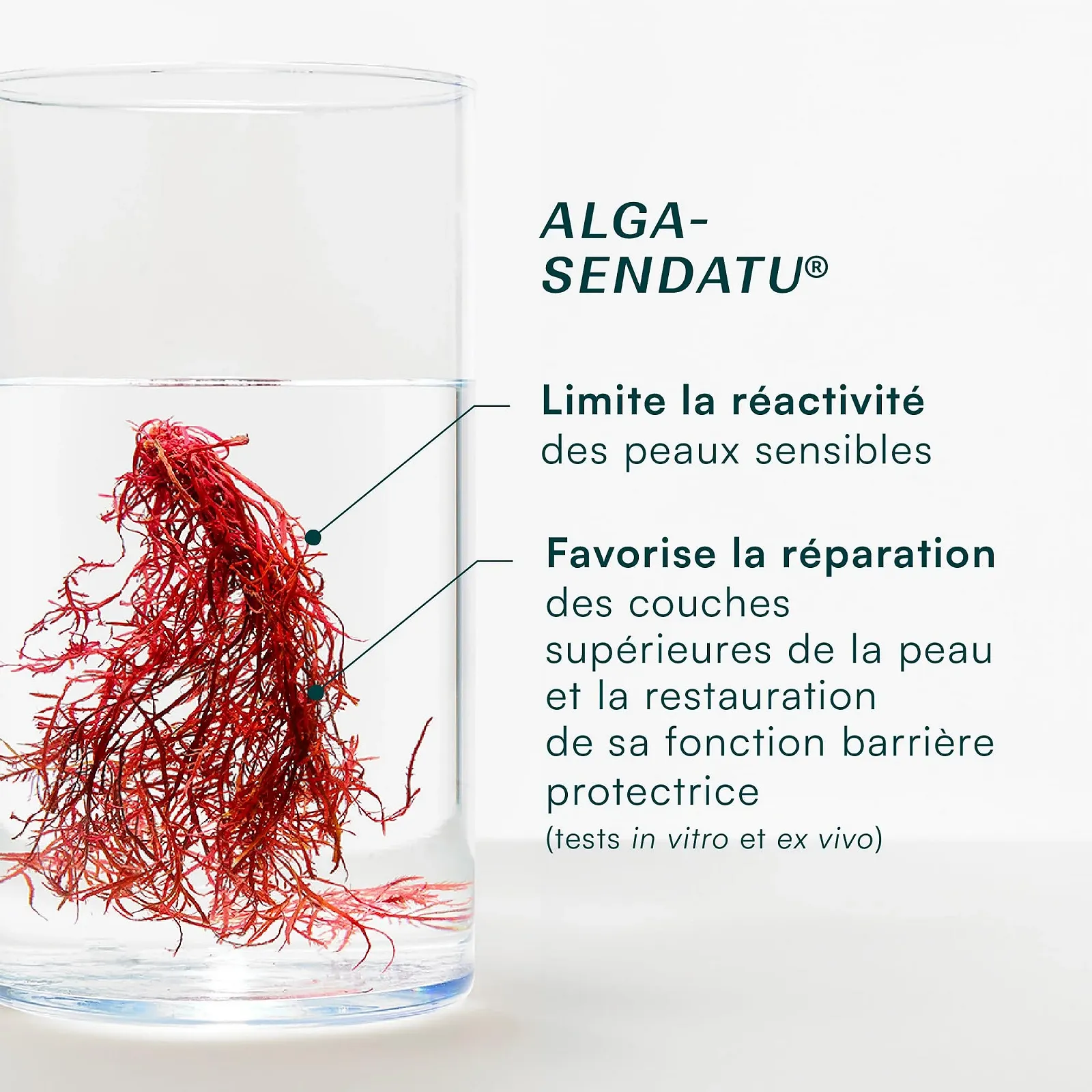 Крем для рук Laboratoires de Biarritz Alga Cicosa Organic Repair 50 мл, фото №5