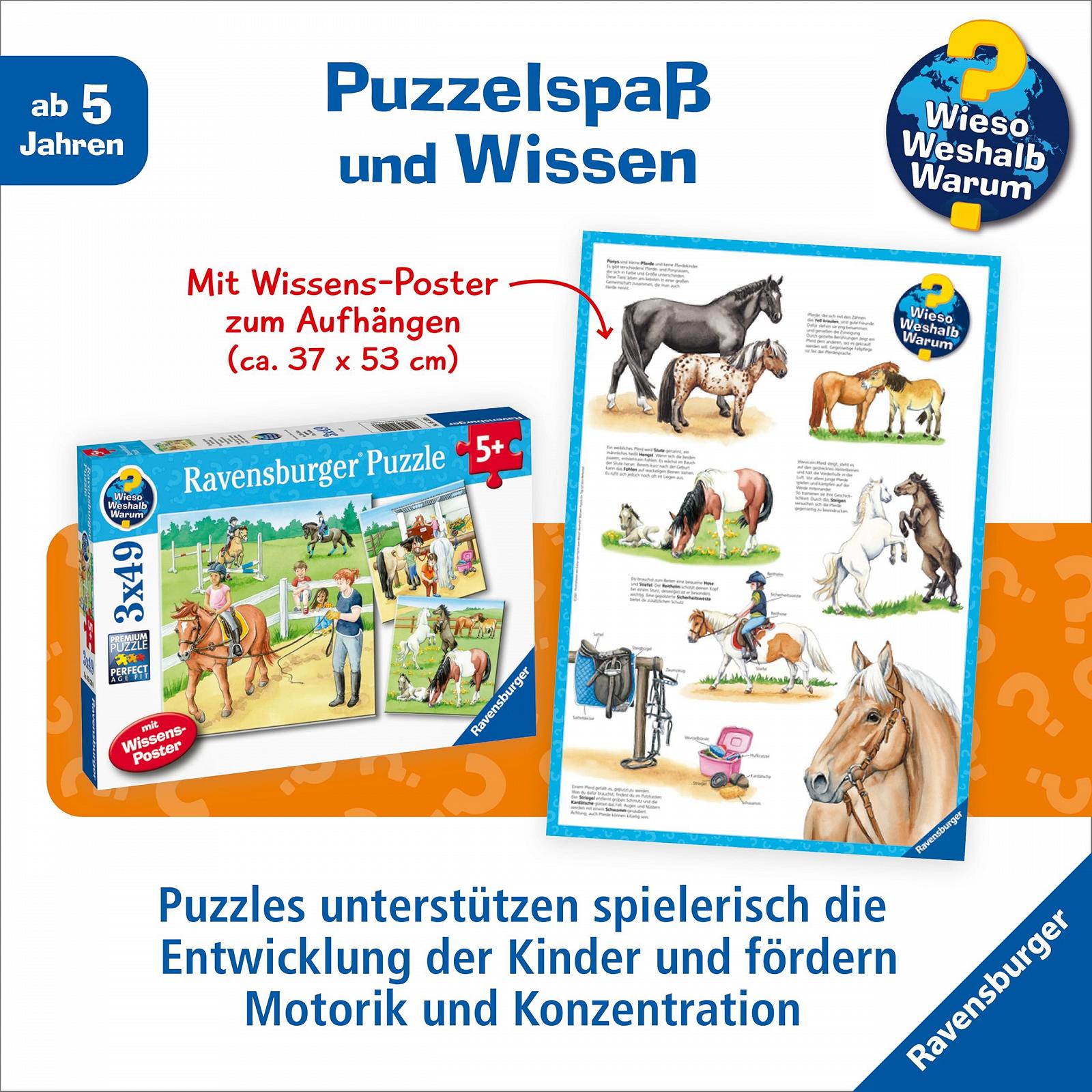 Дитячий пазл Ravensburger Wieso? Weshalb? Warum? 05129 Один день на кінній фермі 3 x 49 елементів від 5 років, фото №4