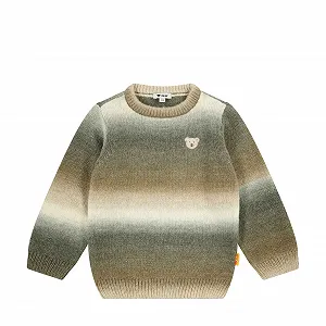 Купить Джемпер Steiff для мальчиков - Фото 1 Джемпер Steiff для мальчиков - Фото 1