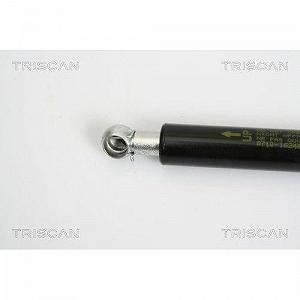 Газовая пружина багажника TRISCAN 8710 16248 для FORD, задняя левая synthetic.ua - Фото 1